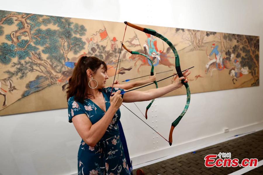 巴西门将埃